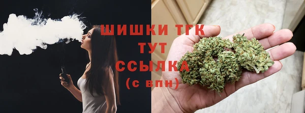 дурь Бронницы