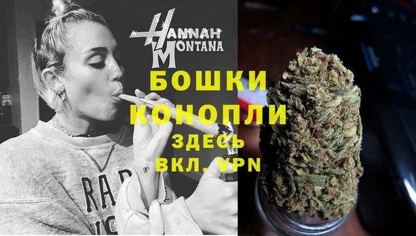 дурь Бронницы