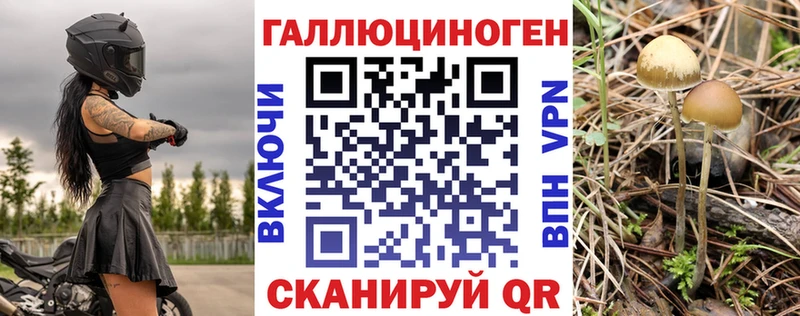 Галлюциногенные грибы Cubensis Бавлы