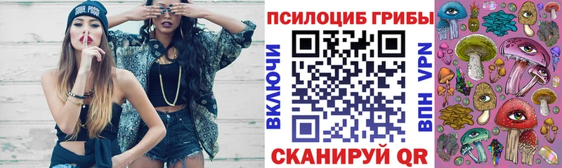 Галлюциногенные грибы мицелий  Купить где  Бавлы 